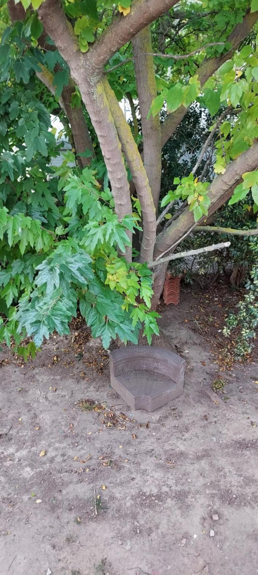 Le Barcares Logement Climatise Pour 6 Personnes, Draps Et Serviettes Non Fournis Air-Conditioned Accommodation For 6 People, Sheets And Towels Not Provided Alojamiento Con Aire Acondicionado Para 6 Personas, Sabanas Y Toallas No Incluidas エクステリア 写真